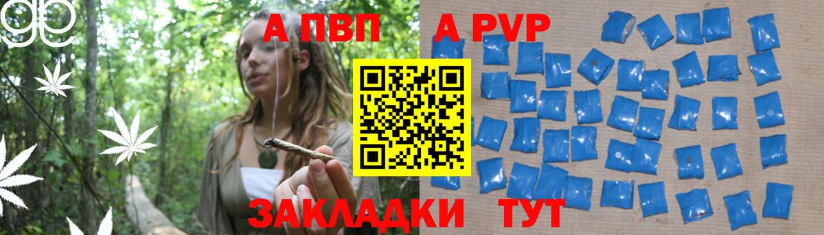 A PVP СК Вязники