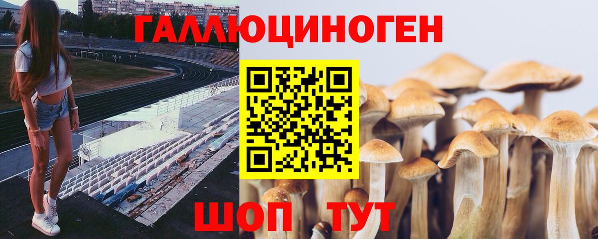 Галлюциногенные грибы мухоморы  как найти   Вязники  Вход с VPN 