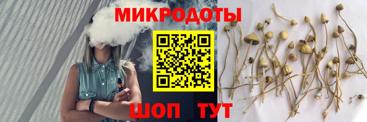 Псилоцибиновые грибы мухоморы Вязники